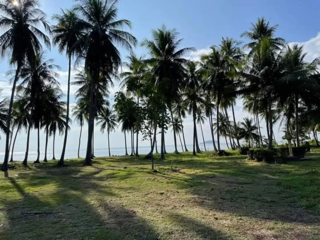 ที่ดินติดทะเลชุมพรหาดทรายรี เหมาะสร้างรีสอรืท บ้านพักตากอากาศ