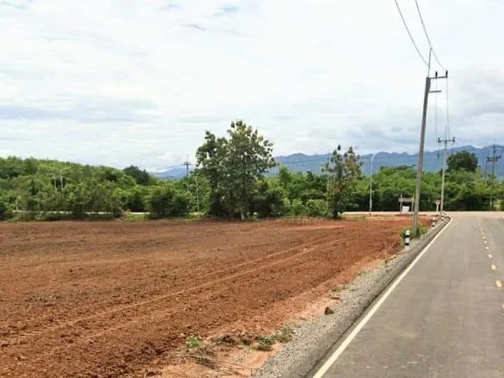 ที่ดินแปลงสวย วิวสวย ที่ราบ ติดถนนสองด้าน เมืองแพร่