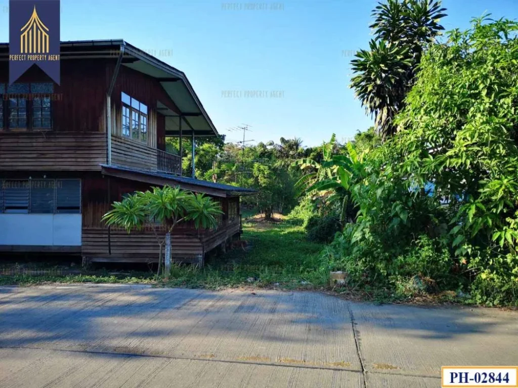 บ้านเดี่ยว พร้อมที่ดินขนาดใหญ่ เกาะบางกระเจ้า พระประแดง ต้นไม้ใหญ่เยอะ เดินทางสะดวก