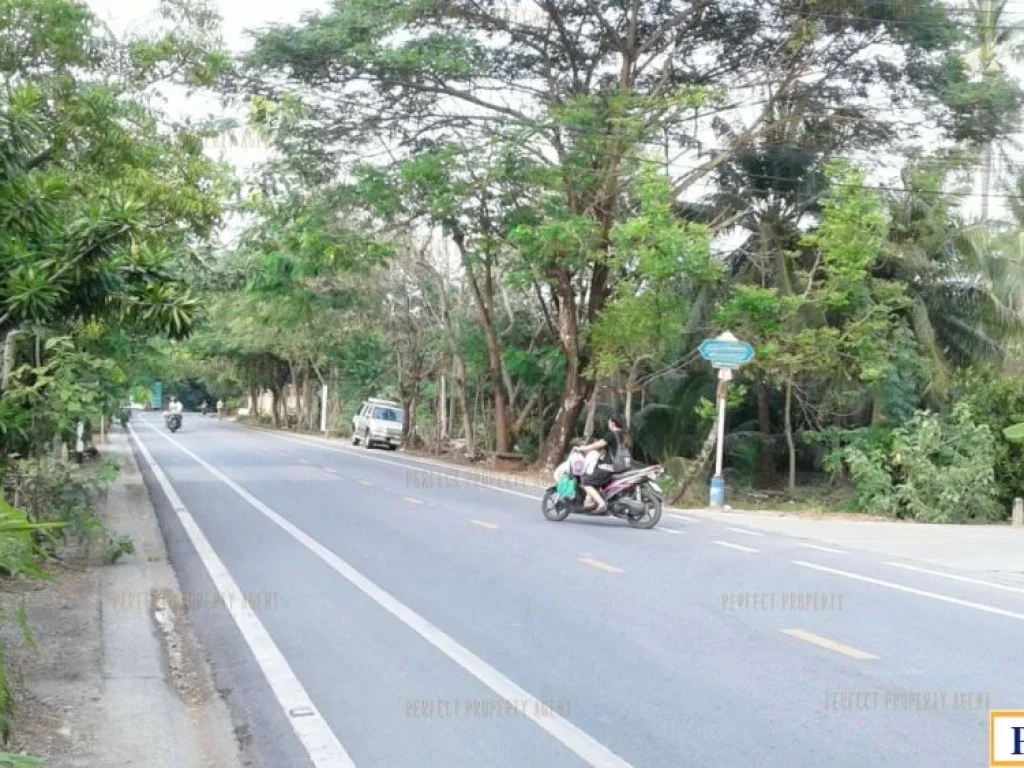 บ้านเดี่ยว พร้อมที่ดินขนาดใหญ่ เกาะบางกระเจ้า พระประแดง ต้นไม้ใหญ่เยอะ เดินทางสะดวก