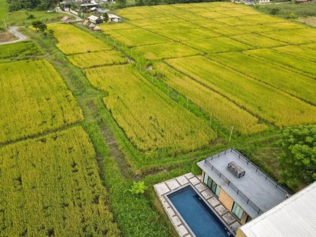 ขายบ้านดอยสะเก็ด จเชียงใหม่ สไตล์พูลวิลล่า วิวดอย 360 องศา พร้อมเฟอร์นิเจอร์ครบพร้อมอยู่