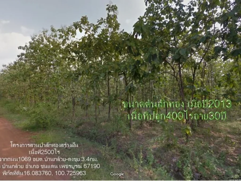 ขายที่ดิน2500ไร่ อยู่ในโครงการสวนป่าสักทอง สร้างฝัน ตบ้านกล้วย อชนแดน จเพชรบูรณ์