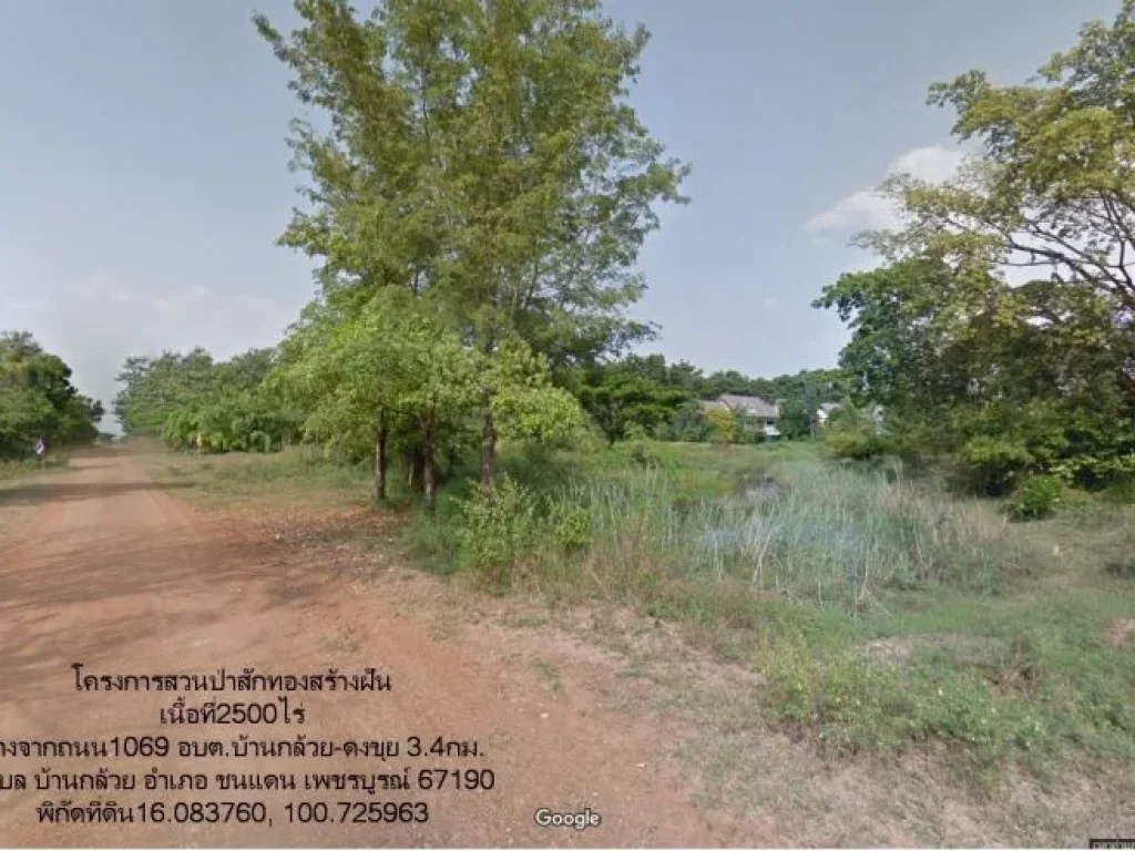 ขายที่ดิน2500ไร่ อยู่ในโครงการสวนป่าสักทอง สร้างฝัน ตบ้านกล้วย อชนแดน จเพชรบูรณ์