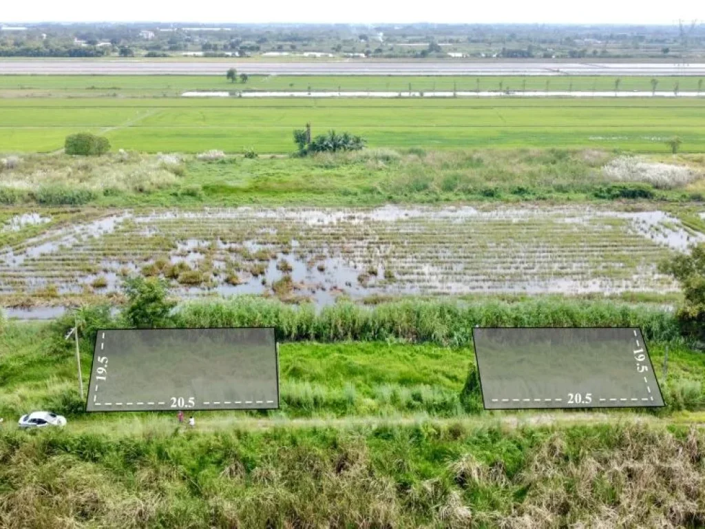 ขายที่ดินสวยสไตล์บ้านสวนและทำการเกษตร คลอง 8 หนองเสือ ปทุมธานี