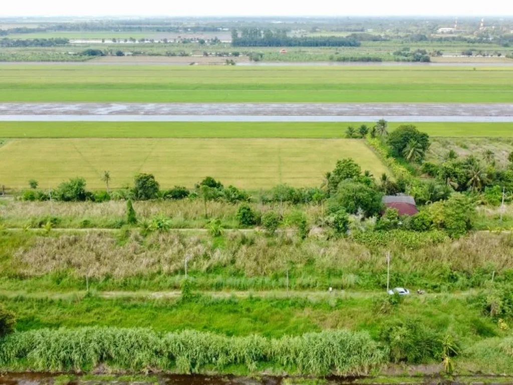 ขายที่ดินสวยสไตล์บ้านสวนและทำการเกษตร คลอง 8 หนองเสือ ปทุมธานี