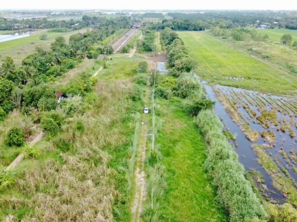 ขายที่ดินสวยสไตล์บ้านสวนและทำการเกษตร คลอง 8 หนองเสือ ปทุมธานี