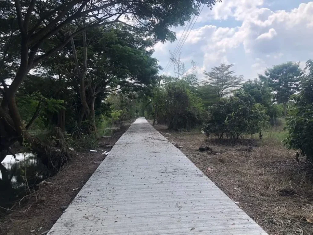 ขายที่สวนพร้อมผลิตบ้านสันโป่งมะขุนหวานสันป่าตองโฉนดพร้อมโอน