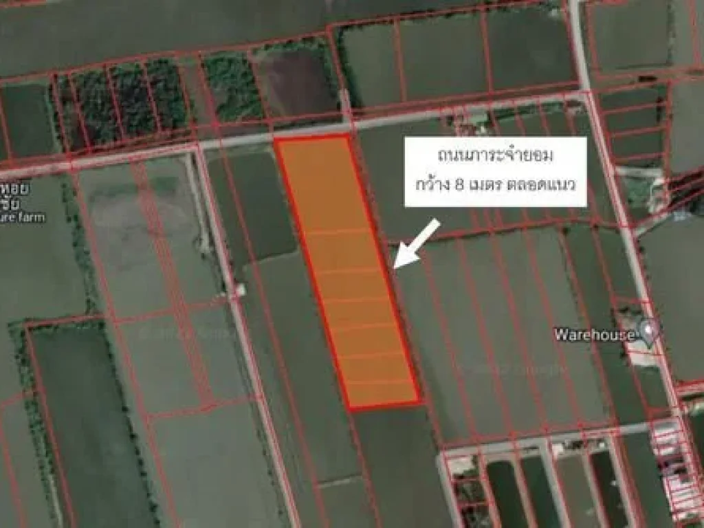 ทำเลทอง ขาย ที่ดิน ประชาอุทิศ 90 ขนาด 13 ไร่ 3 ล้านบาทไร่