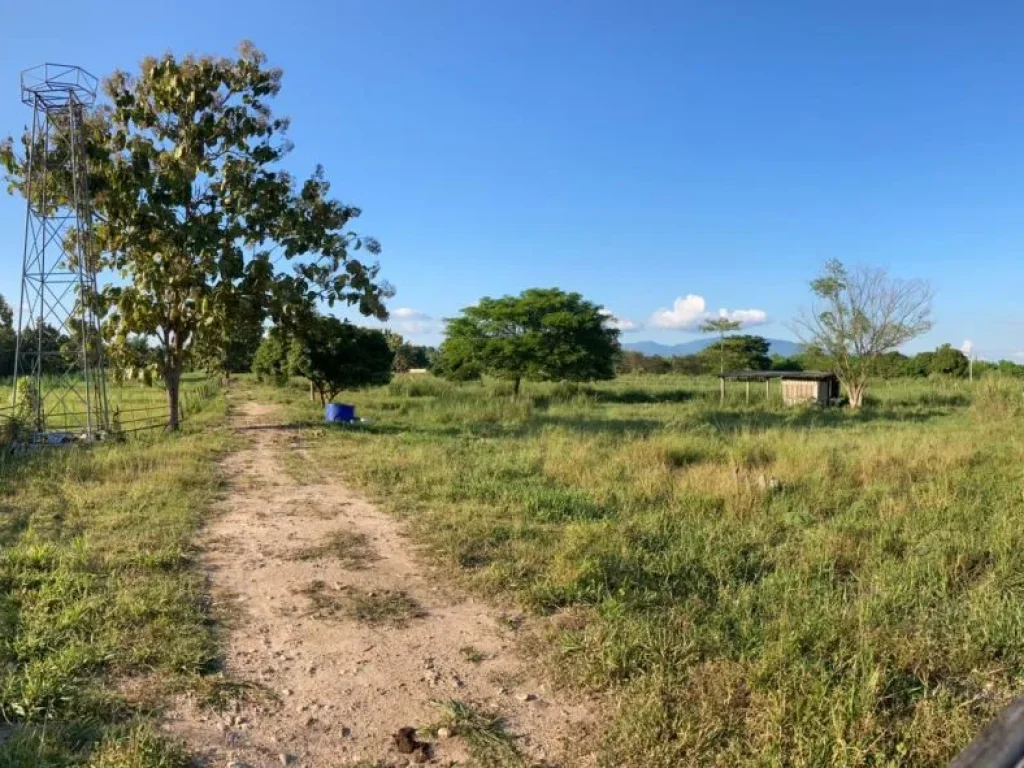 ขายที่ดิน 8 ไร่ติด ถคลองชลประทาน เห็นวิวดอยสุเทพ ที่ดินดูแลอย่างต่อเนื่อง