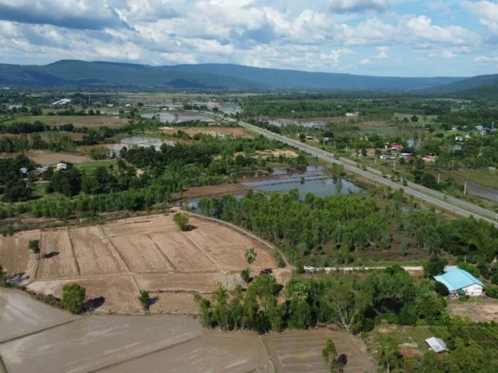 ที่ดิน สด-ผ่อน โอนก่อน-ผ่อนที่หลัง ตดินทอง วังทอง พิษณุโลก เหลือแค่ 4 แปลงเท่านั้น