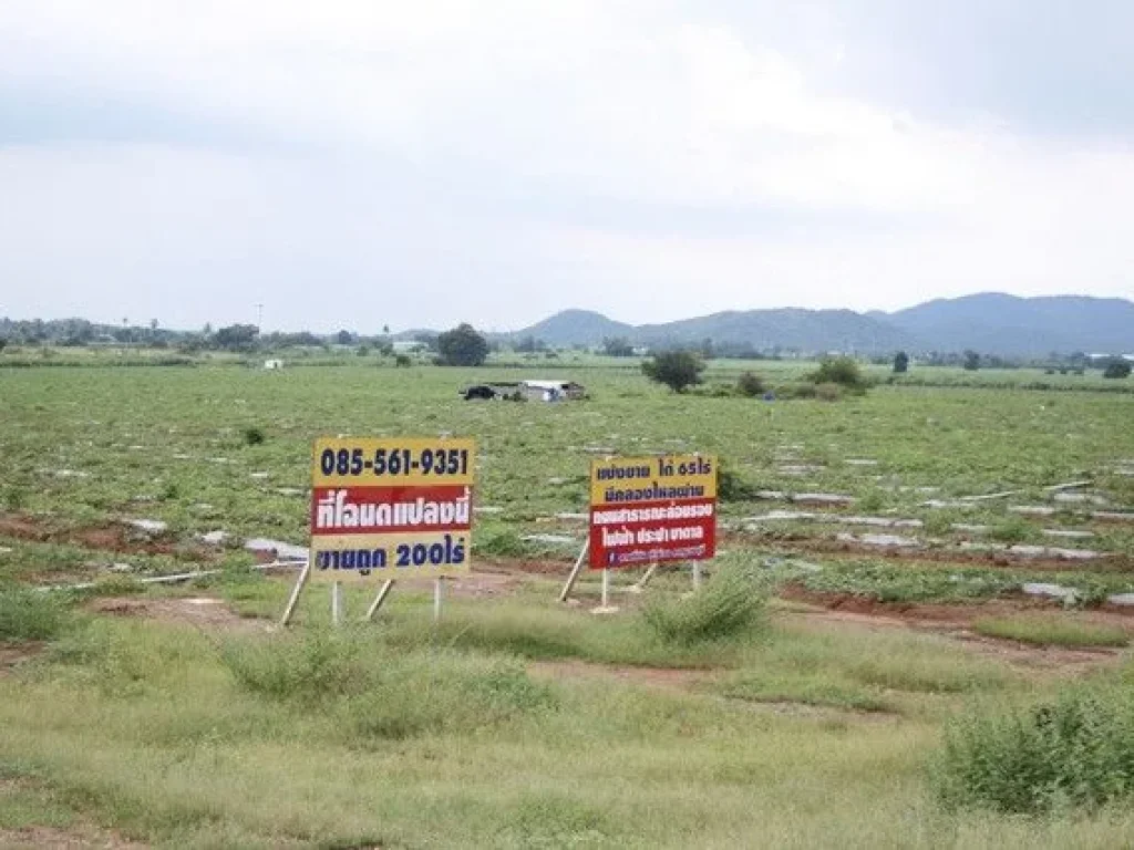 ขายถูกที่ดินโฉนด พังตรุ ในท่าม่วง วิวเขาน้ำไม่ท่วม น้ำไฟพร้อม เดินทางสะดวก ใกล้มอเตอร์เวย์ กาญจนบุรี