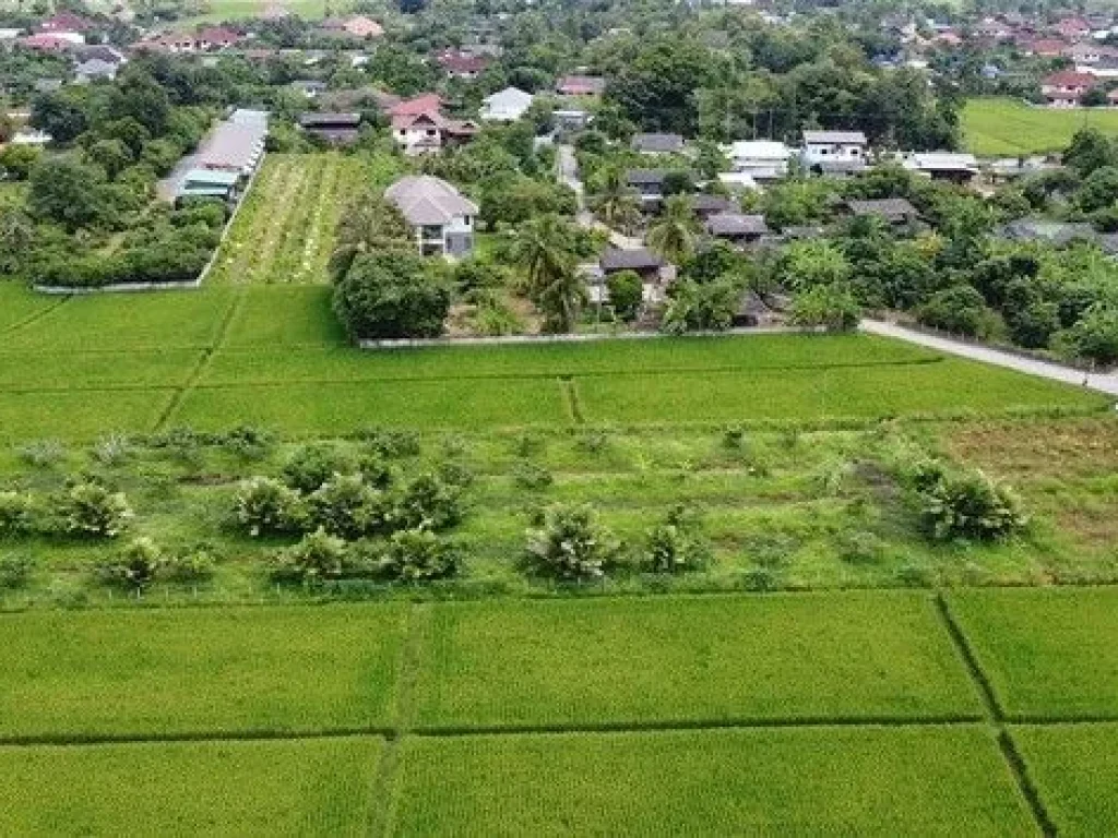 ขายที่ดิน เขตชุมชน ติดถนนลาดยาง ทำเลดี ดอยสะเก็ด เชียงใหม่ เจ้าของขายเอง