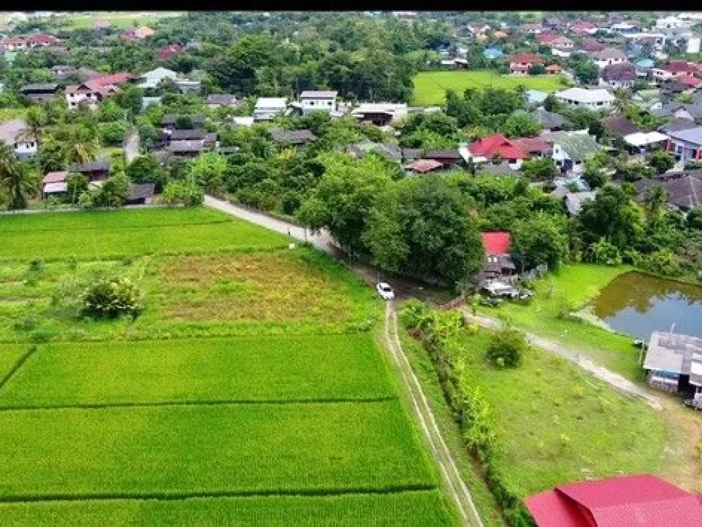 ขายที่ดิน เขตชุมชน ติดถนนลาดยาง ทำเลดี ดอยสะเก็ด เชียงใหม่ เจ้าของขายเอง