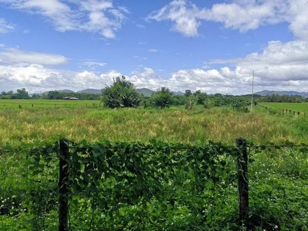 ขายที่ดิน เขตชุมชน ติดถนนลาดยาง ทำเลดี ดอยสะเก็ด เชียงใหม่ เจ้าของขายเอง