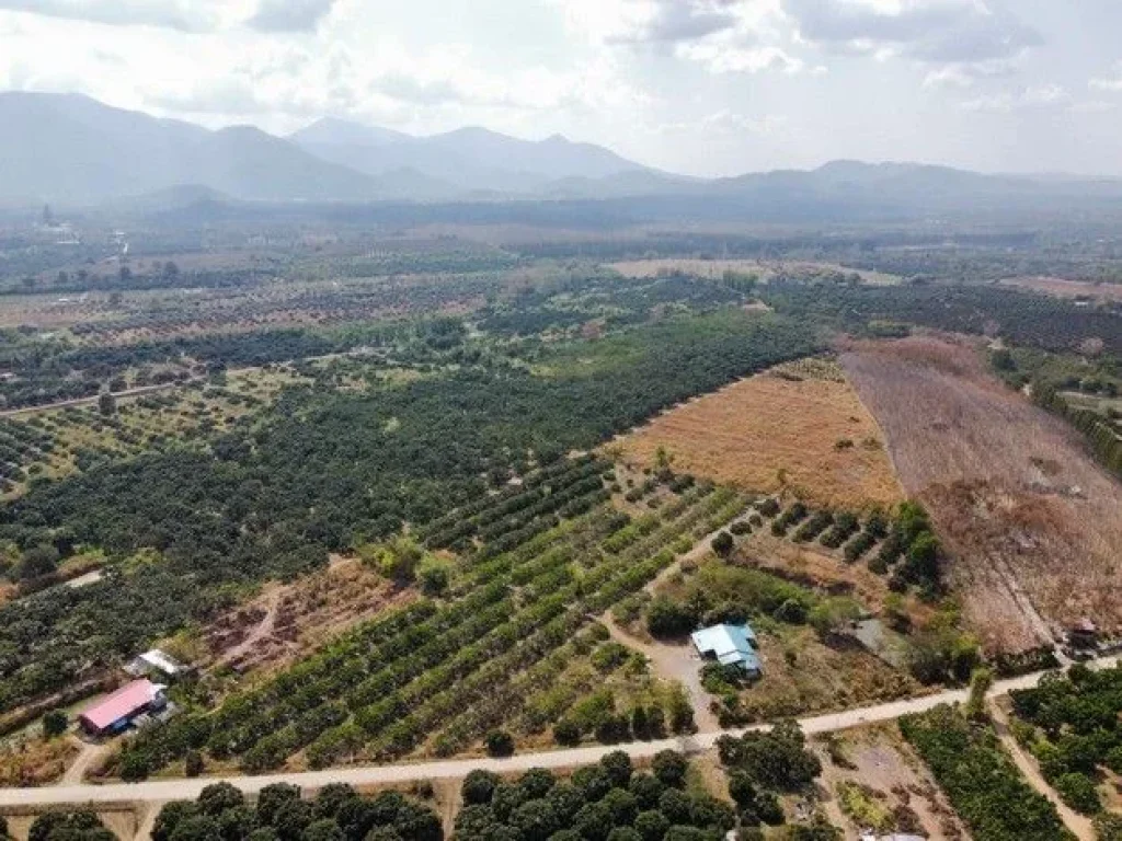 ขายที่ดินสวนลำไยพร้อมบ้านพักหลังใหญ่ บรรยากาศดี ทำเลดี ติดถนน จจันทบุรี