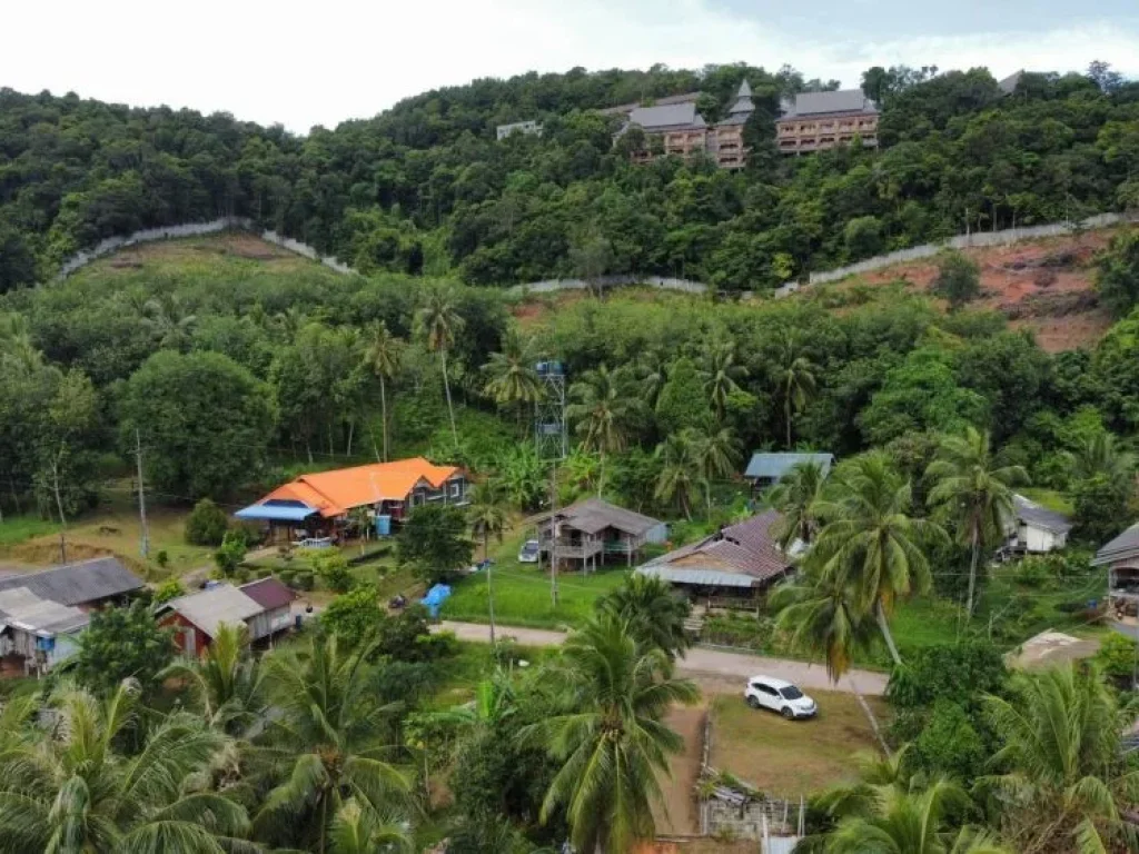 ด่วน ขายที่ดินซีวิว ด้านหลังติดสันติญาเกาะยาวใหญ่ รีสอร์ทแอนด์สปา