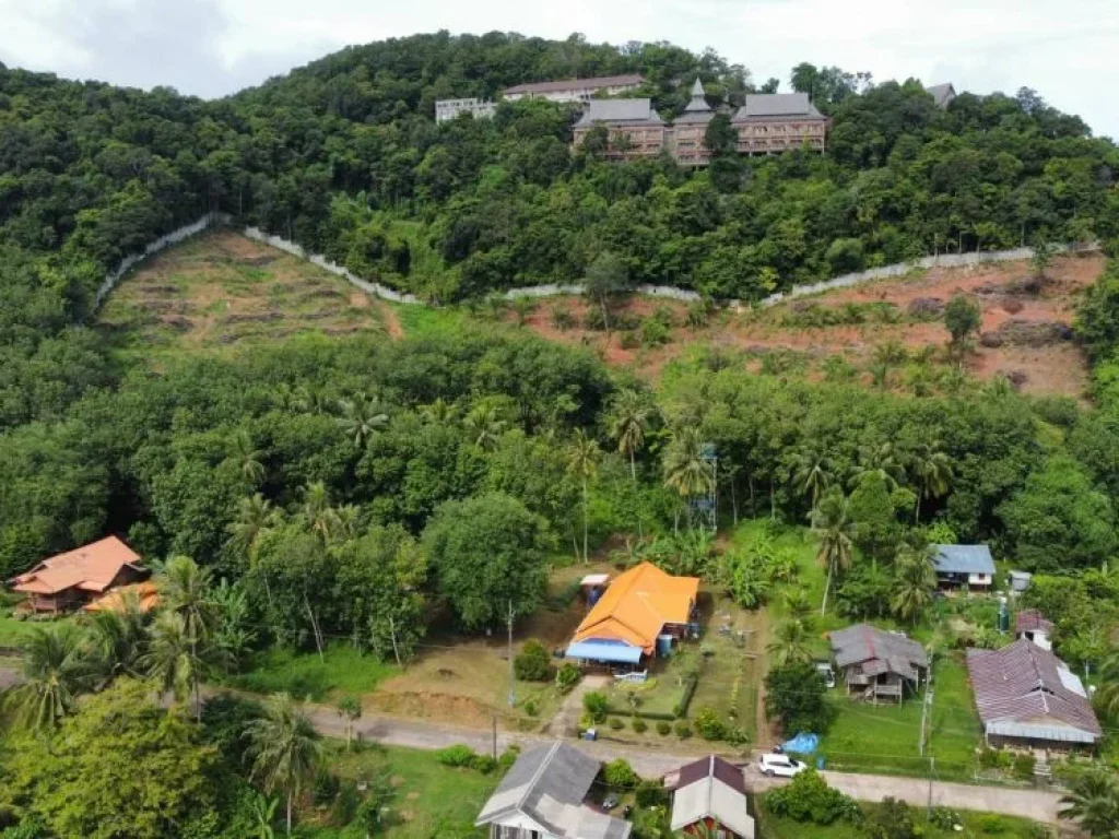 ด่วน ขายที่ดินซีวิว ด้านหลังติดสันติญาเกาะยาวใหญ่ รีสอร์ทแอนด์สปา