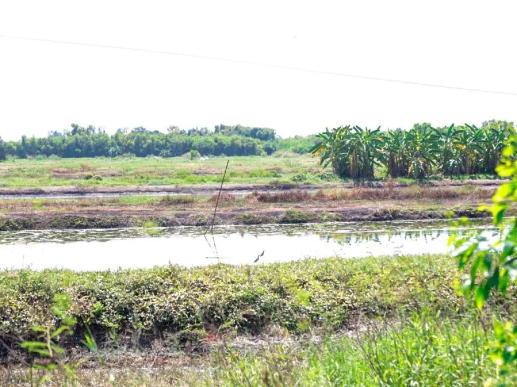 ขายที่ดิน สระบุรี วิหารแดง หนองหมู 14ไร่ เจ้าของขสยเอง