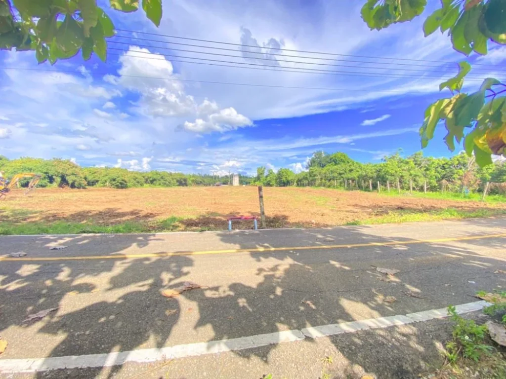 ที่ดิน 100 ตรว ติดถนนลาดยาง ไฟฟ้าประปาพร้อม-ห่างสนามบิน 35 กม