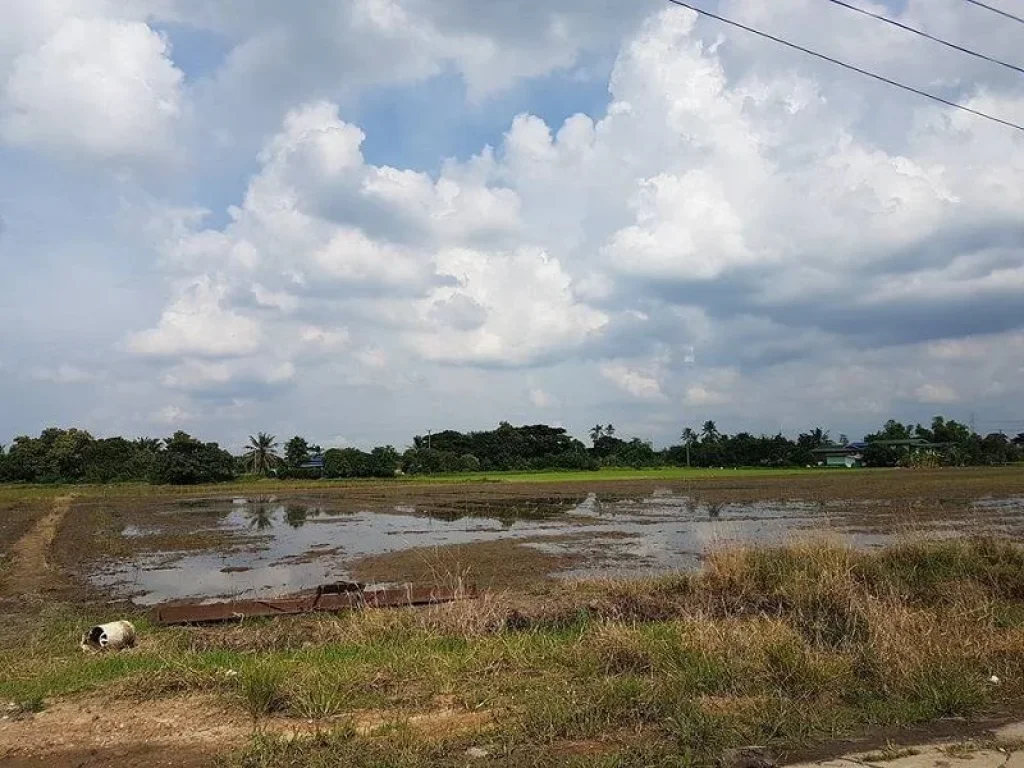 ขายที่ดิน 6 ไร่ ตบางคูวัด อเมืองปทุมธานี จปทุมธานี