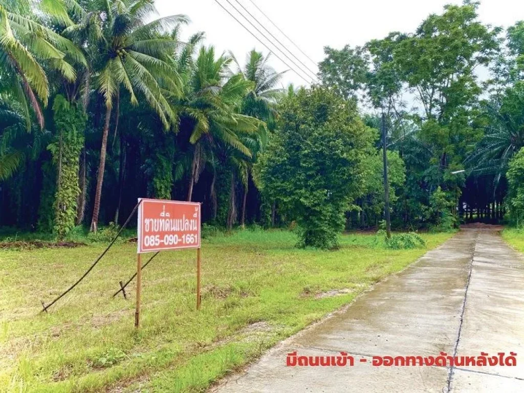 ขายที่ดิน ทำเลดี ติดถนน นาชะอัง วิลเลจ อำเภอเมืองชุมพร จชุมพร