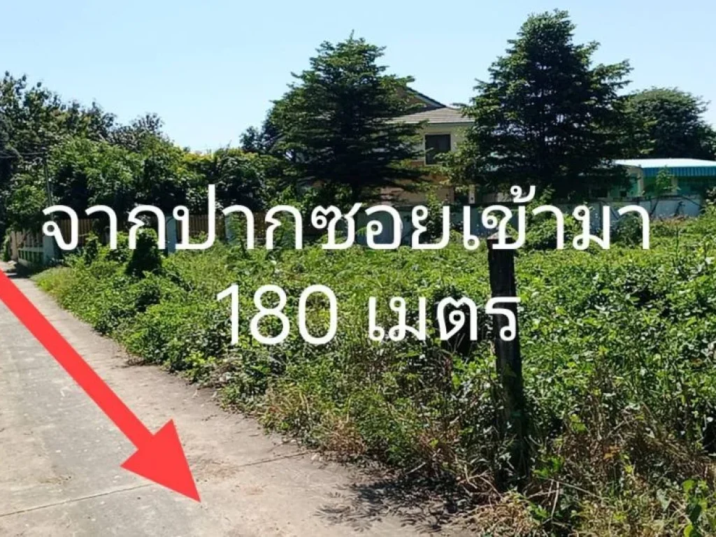 ขายที่ดินสรรคบุรี ตแพรกศรีราชา อสรรคบุรี จชัยนาท 174ตรว