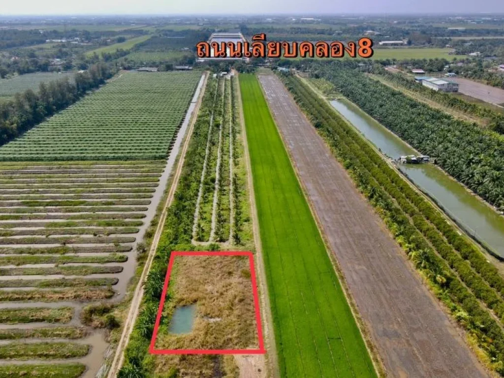 ขายที่ดินคลอง8 เนื้อที่ 1 ไร่บึงบอน อหนองเสือ ปทุมธานี