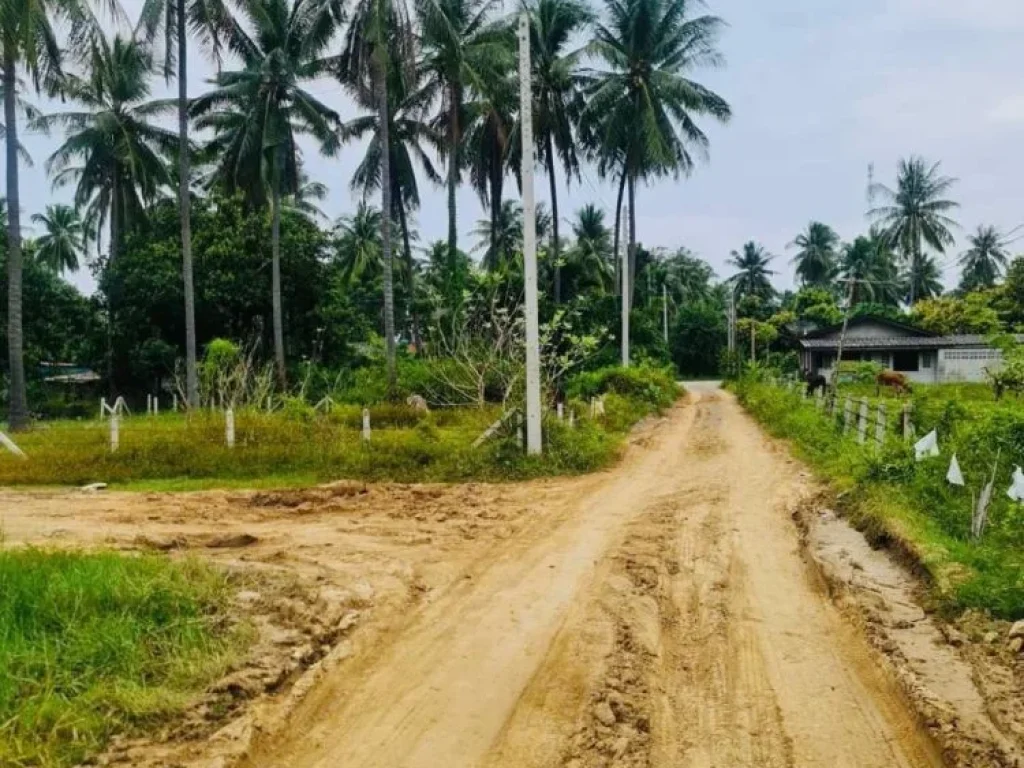 ขายที่ดินสวย วิวเขา ใกล้ชายหาดสามร้อยยอด มีเพื่อนบ้าน อยู่ในชุมชน สามร้อยยอด ประจวบฯ