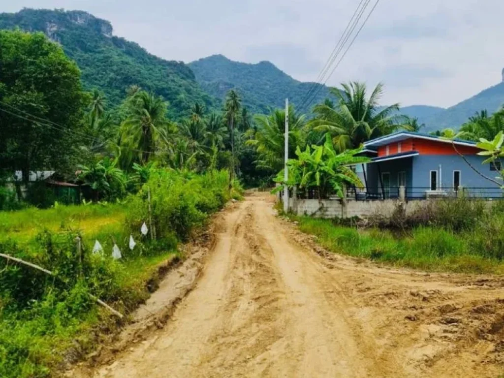 ขายที่ดินสวย วิวเขา ใกล้ชายหาดสามร้อยยอด มีเพื่อนบ้าน อยู่ในชุมชน สามร้อยยอด ประจวบฯ