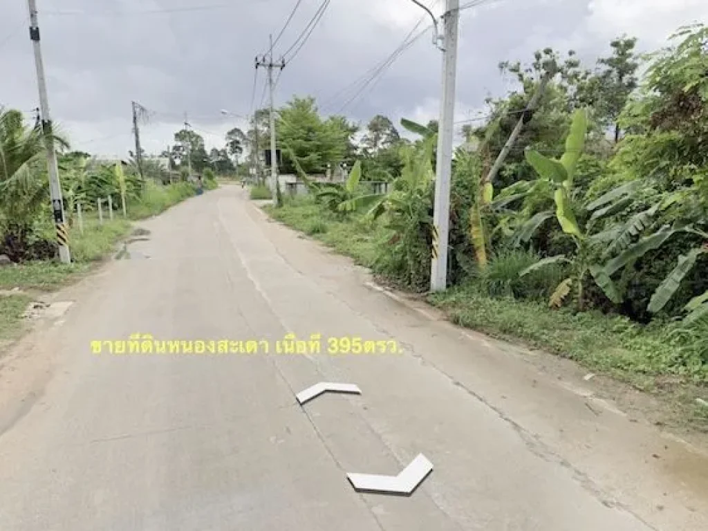 ขายที่ดินหนองสะเดา เนื้อที่ 395ตรวใกล้ถนนตัดใหม่ ห่างจากท่าเรือแหลมฉบัง 6ก