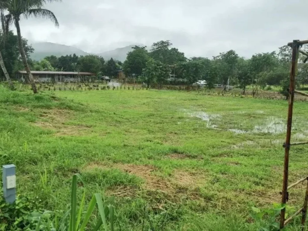 ขายที่ดินพร้อมรีสอร์ทเพชรบุรี ใกล้เเก่งกระจาน ตำบลสองพี่น้อง อำเภอแก่งกระจาน จังหวัดเพชรบุรี