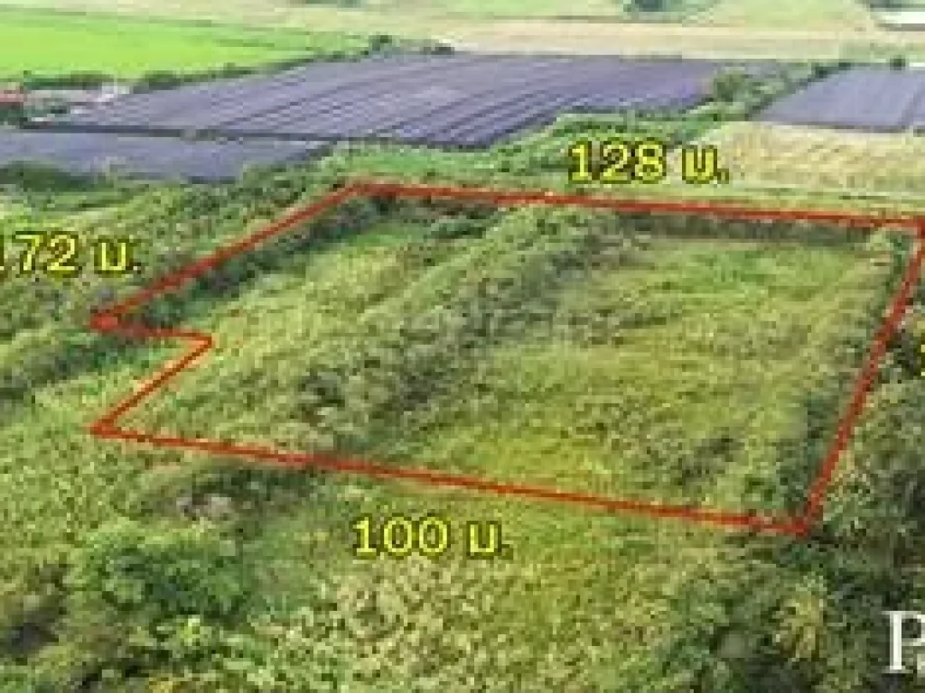 ขายที่ 103ไร่ หน้ากว้าง 100ม ติด ถนนตัดใหม่ พรานนก - สาย 4 เหมาะ ทำโครงการหมู่บ้าน ใกล้สาย 4 เพียง 138 กม KK4618S