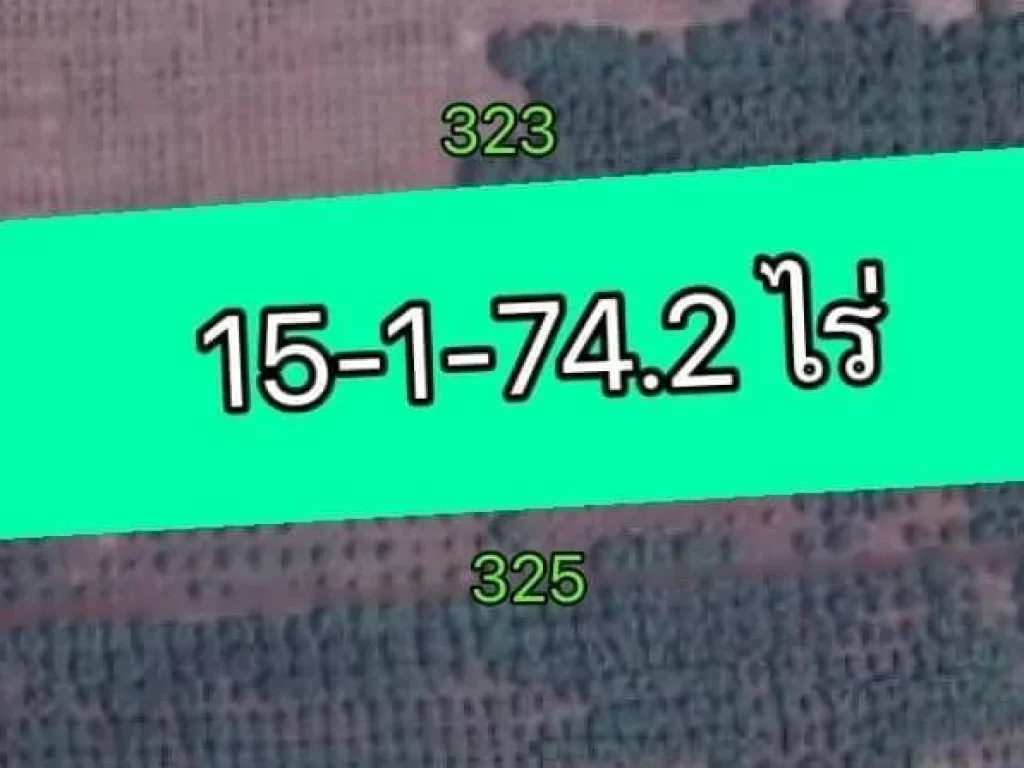 ขายสวนลำไย 15-1-742 ไร่ เขื่อนผาก อพร้าว เชียงใหม่