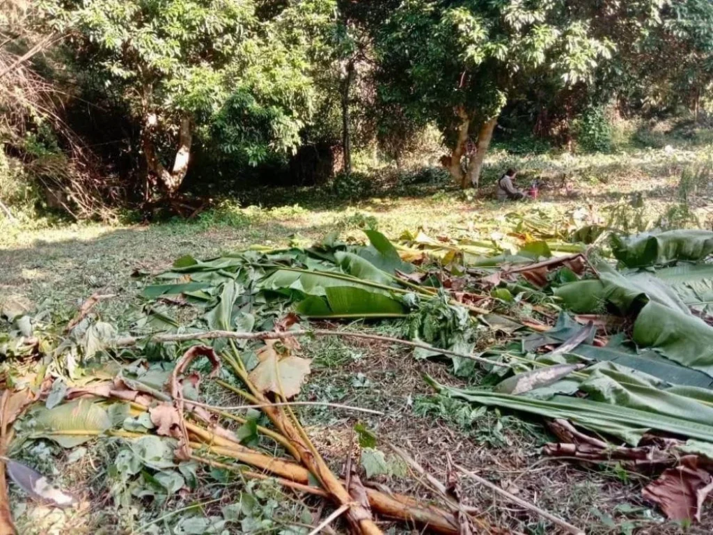 ขายที่ดินติดลำธาร ด้านหน้าติดถนนหลัก 348 ตรว อหางดง เชียงใหม่