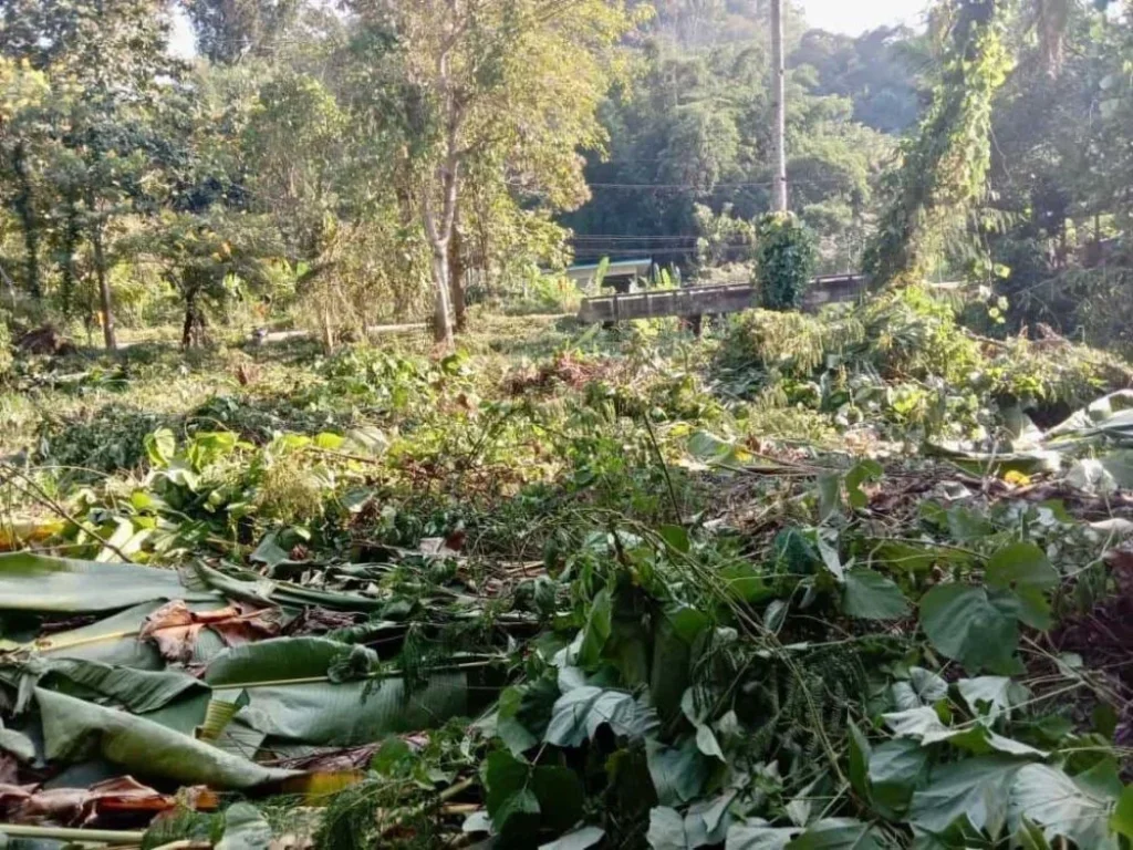 ขายที่ดินติดลำธาร ด้านหน้าติดถนนหลัก 348 ตรว อหางดง เชียงใหม่