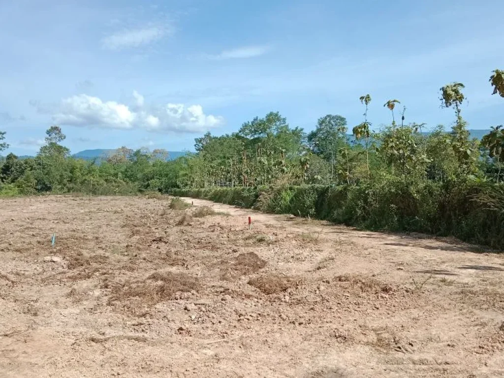 แบ่งขายที่ดินโฉนด มองเห็นวิวเขาใหญ่ บรรยากาศดี ตรวละ 2000 บ