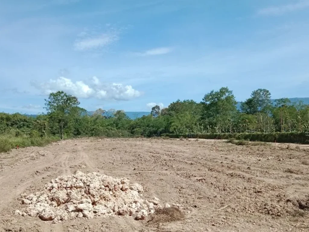 แบ่งขายที่ดินโฉนด มองเห็นวิวเขาใหญ่ บรรยากาศดี ตรวละ 2000 บ