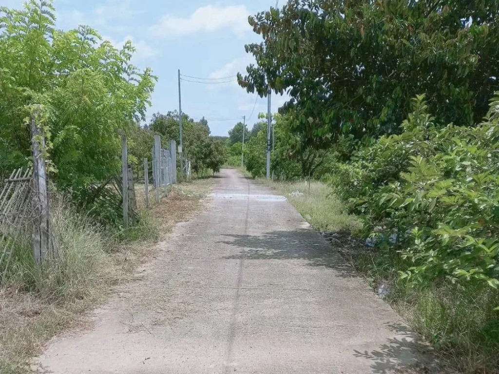 ขายที่สวนบ้านเชียงแสนติดถนนลาดยางบ้านหนองตองหางดงพร้อมโอน