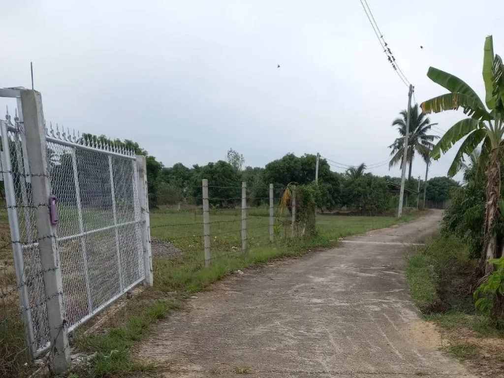 ขายที่สวนบ้านเชียงแสนติดถนนลาดยางบ้านหนองตองหางดงพร้อมโอน