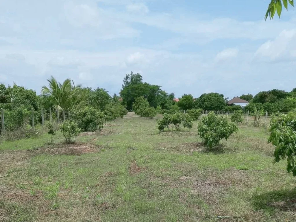 ขายที่สวนบ้านเชียงแสนติดถนนลาดยางบ้านหนองตองหางดงพร้อมโอน