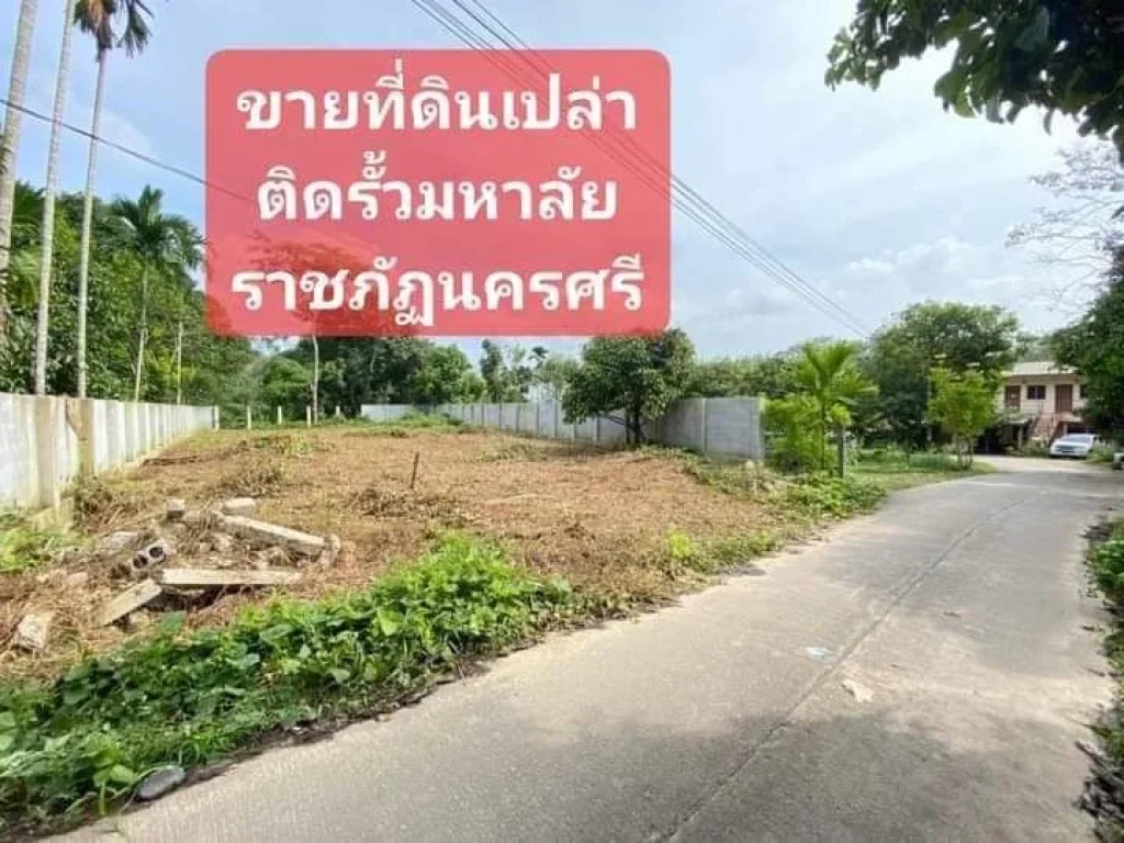 ขายที่ดินเปล่า ติดรั้วมหาลัย มหาวิทยาลัยราชภัฎนครศรีธรรมราช บริการสินเชื่ิอฟรี