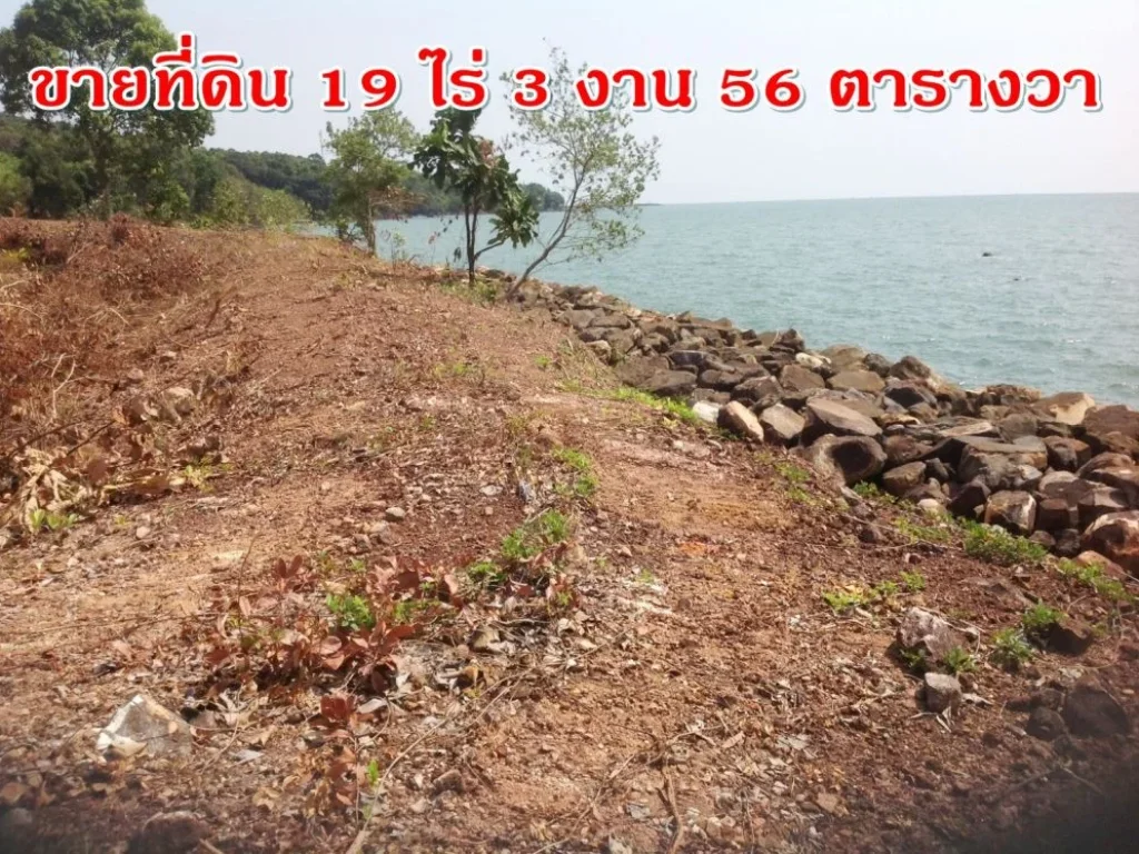 ขายที่ดินสวย ติดทะเล ตำบลหาดเล็ก อำเภอคลองใหญ่ จังหวัดตราด