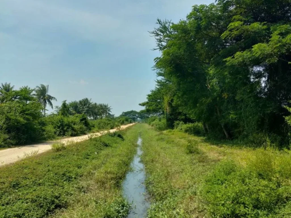 ขายที่ดินเปล่า 12-0-31 ไร่ ราคาถูก ใกล้หาดปึกเตียน จเพชรบุรี