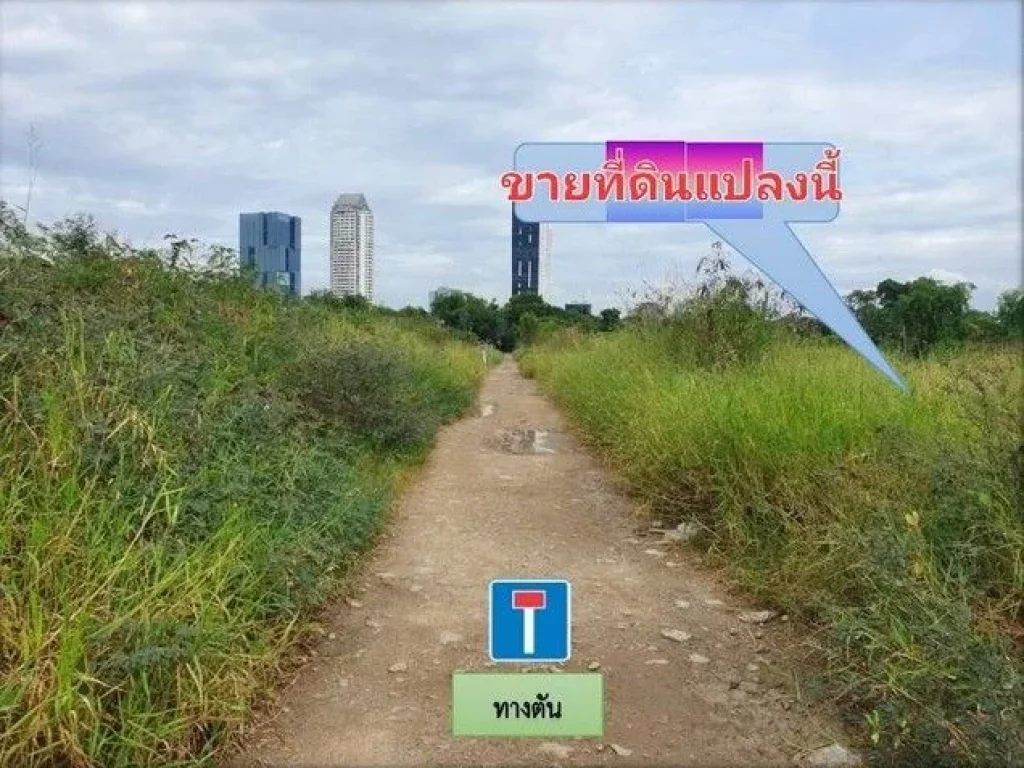 ขายที่ดิน 200 ตรว ซอยวัดปลัดเปรียง ถนนบางนาตราด ตบางแก้ว อบางพลี สมุทรปราการ ใกล้ห้างเมกะบางนา