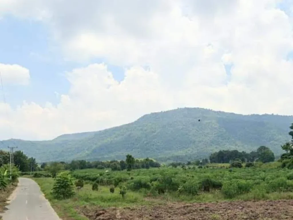 ที่ดินพร้อมบ้านอยู่อาศัย แปลงสวย วิวสวย ใกล้ชุมชนและแหล่งท่องเที่ยว พิษณุโลก