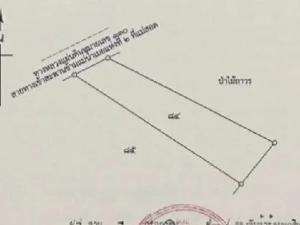 ที่ดิน 6 ไร่แม่สอดติดถนนไทยพม่าแห่งที่ 2 ขายต่ำกว่าราคาประเมิน