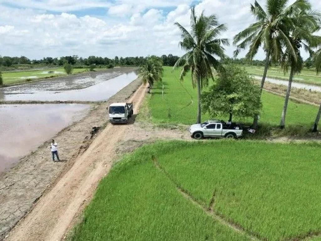 ขายที่ดินสวย บ้านสวนคลอง 23 องครักษ์ นครนายก ทำเลดีมาก บรรยากาศเยี่ยม