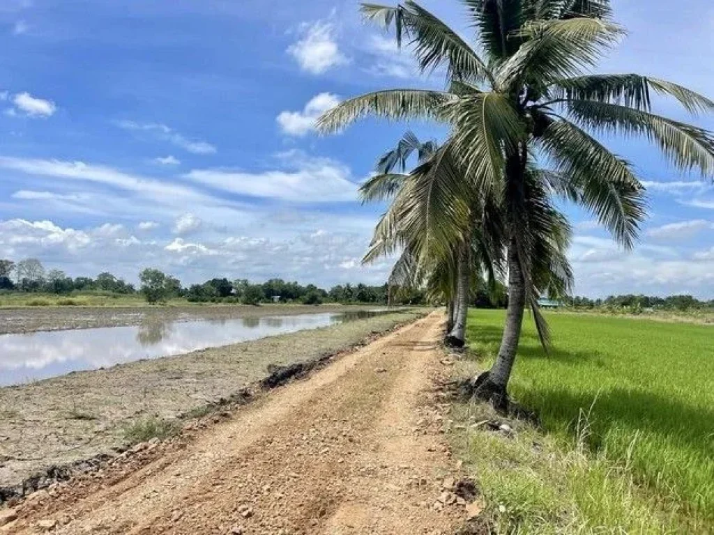 ขายที่ดินสวย บ้านสวนคลอง 23 องครักษ์ นครนายก ทำเลดีมาก บรรยากาศเยี่ยม