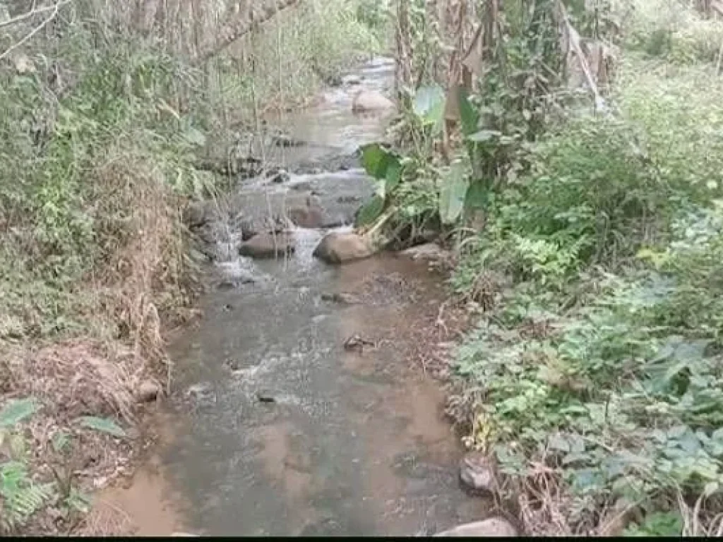 ขายที่ดินบ้านปงหางดงติดลำธารน้ำไหลยาว100เมตรพร้อมโอน