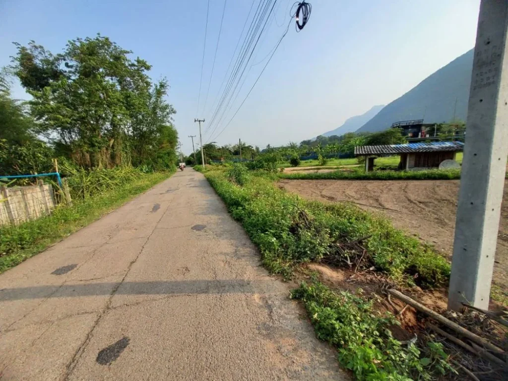 ขายที่ดินติดถนนคอนกรีตวิวดอยหลวงเมืองงายเชียงดาวพร้อมโอน